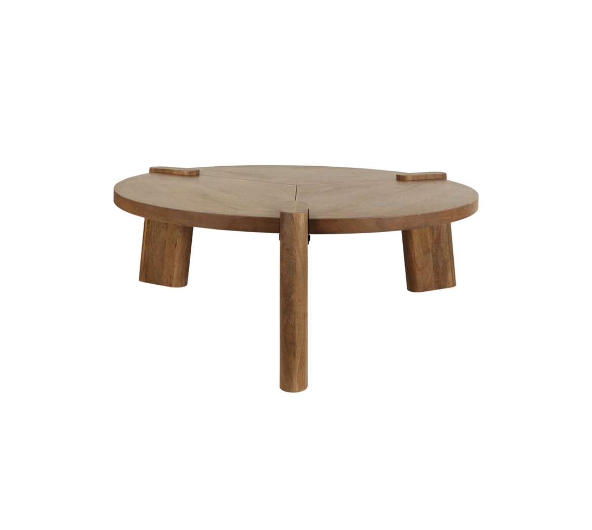 Biya Coffee Table - Image 3